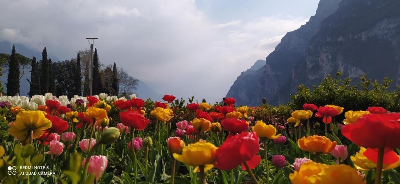 Ferienwohnung Casavarone Riva del Garda Exterior foto