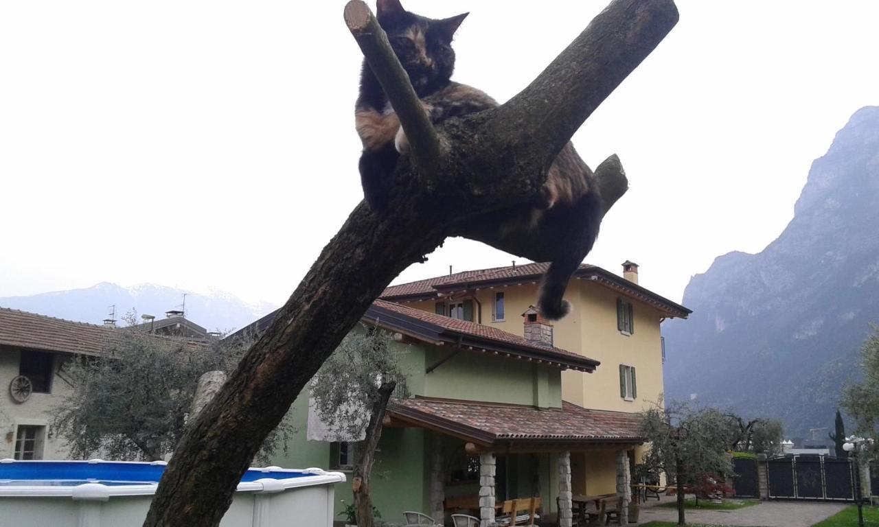 Ferienwohnung Casavarone Riva del Garda Exterior foto